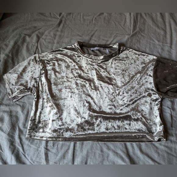 Urban Outfitters XS Silver Velvet short sleeve crop top - Picture 1 of 4